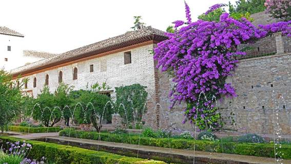 家の前にピンクの花が咲いている建物

