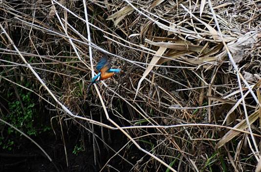 干し草の上にいる鳥

AI 生成コンテンツは誤りを含む可能性があります。