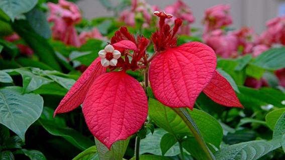 花が咲いている

AI 生成コンテンツは誤りを含む可能性があります。