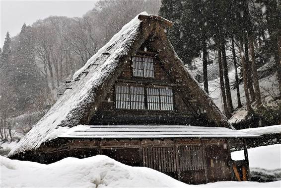 雪の中の家

AI 生成コンテンツは誤りを含む可能性があります。