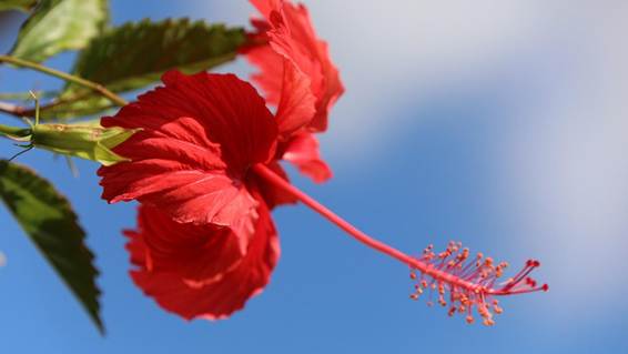 花が咲いた枝

AI 生成コンテンツは誤りを含む可能性があります。