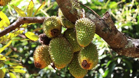 木の枝で植えている植物

AI 生成コンテンツは誤りを含む可能性があります。