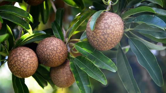 植物の芽

AI 生成コンテンツは誤りを含む可能性があります。