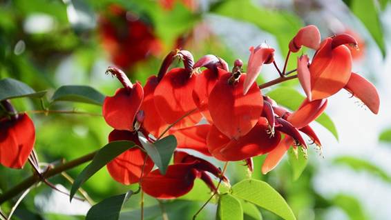 花が咲いた枝

AI 生成コンテンツは誤りを含む可能性があります。