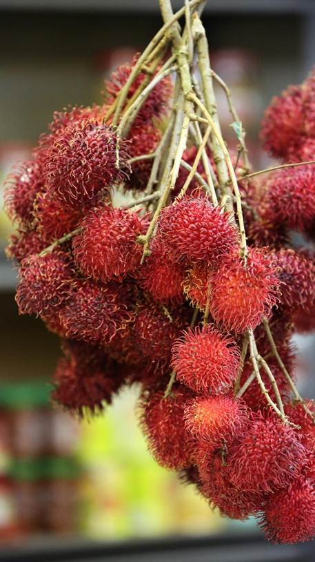 ピンクの花が咲いている植物

AI 生成コンテンツは誤りを含む可能性があります。