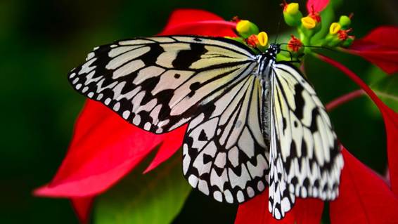 カラフルな花の絵

AI 生成コンテンツは誤りを含む可能性があります。