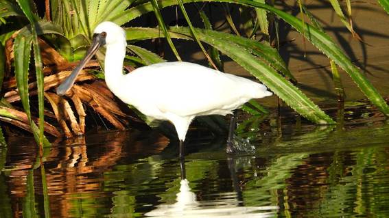 池にいる鳥

AI 生成コンテンツは誤りを含む可能性があります。