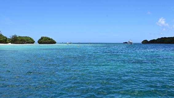 海の中にある湖

AI 生成コンテンツは誤りを含む可能性があります。