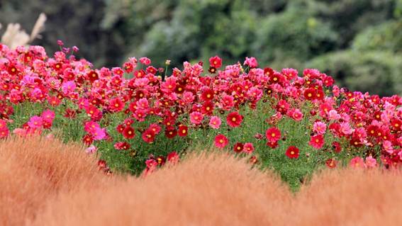 草の上に置かれたカラフルな花

AI 生成コンテンツは誤りを含む可能性があります。