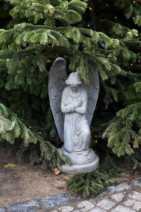 屋外, 工場, 針葉樹, 岩 が含まれている画像

AI 生成コンテンツは誤りを含む可能性があります。