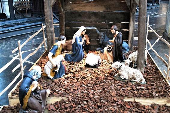 屋外, 建物, フェンス, 哺乳類 が含まれている画像

AI 生成コンテンツは誤りを含む可能性があります。