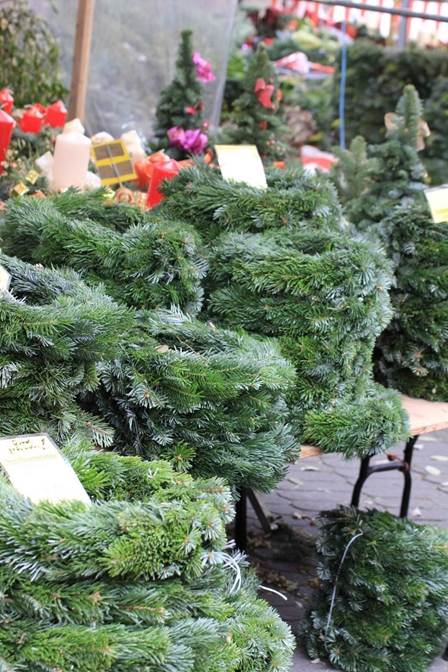 工場, ガーデン, 針葉樹, ブロッコリー が含まれている画像

AI 生成コンテンツは誤りを含む可能性があります。