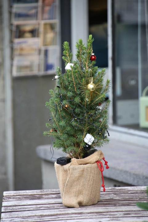 建物の前の花瓶に入った花

AI 生成コンテンツは誤りを含む可能性があります。