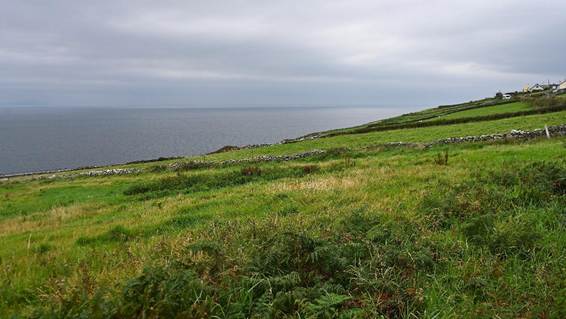 緑の丘
AI 生成コンテンツは誤りを含む可能性があります。