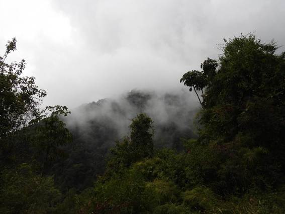 森の中にいる煙
AI 生成コンテンツは誤りを含む可能性があります。