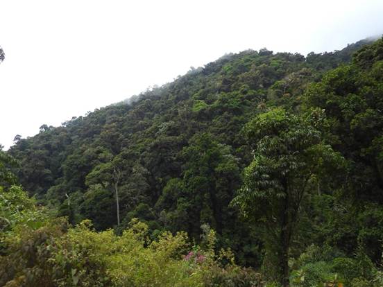 森の川
AI 生成コンテンツは誤りを含む可能性があります。