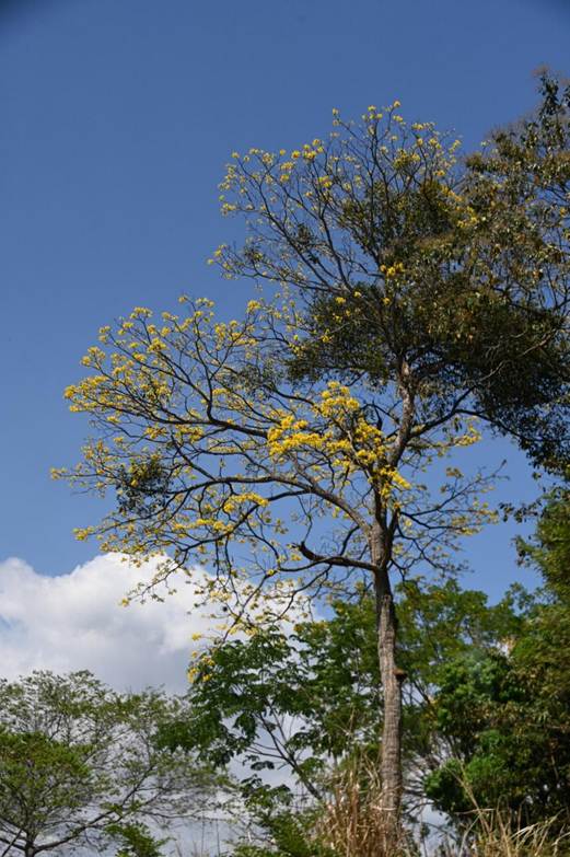 湖と木
AI 生成コンテンツは誤りを含む可能性があります。