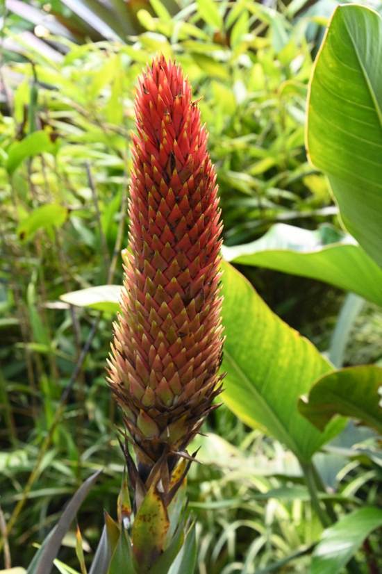 草の上にいる鳥
AI 生成コンテンツは誤りを含む可能性があります。