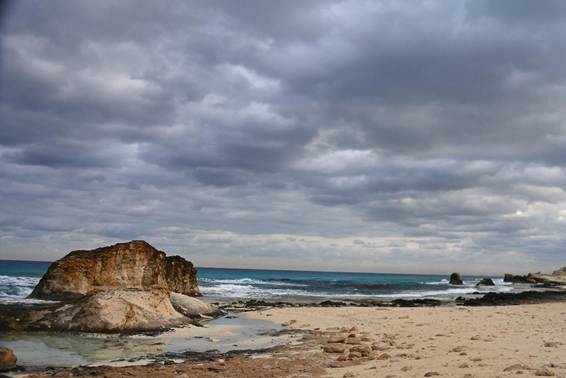 海と砂浜
AI 生成コンテンツは誤りを含む可能性があります。