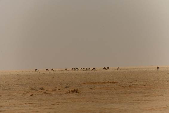 砂浜を歩いている
AI 生成コンテンツは誤りを含む可能性があります。