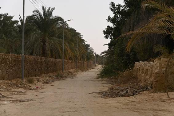 屋外, 木, 泥, 草 が含まれている画像
AI 生成コンテンツは誤りを含む可能性があります。