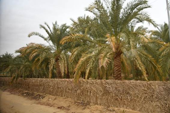 緑の木々
AI 生成コンテンツは誤りを含む可能性があります。