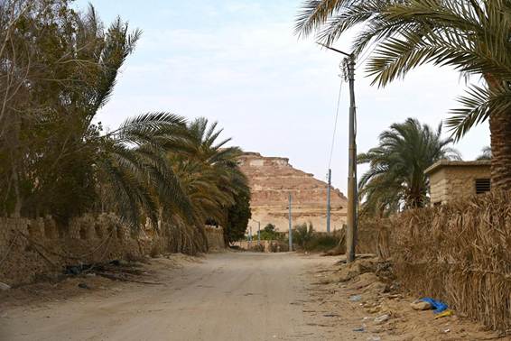 緑の木々
AI 生成コンテンツは誤りを含む可能性があります。